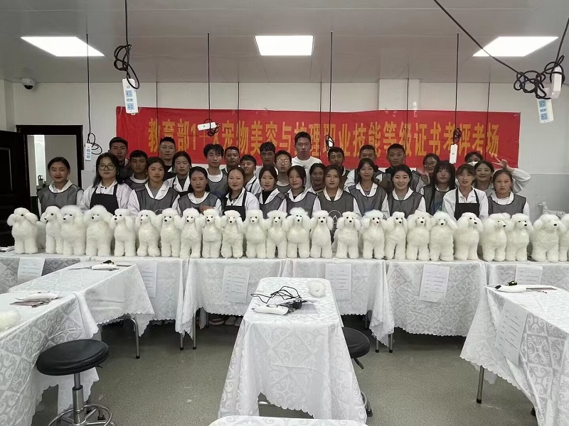 西藏職業(yè)技術(shù)學(xué)院寵物護(hù)理與美容考評(píng)工作
