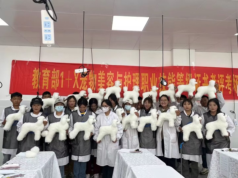 西藏職業(yè)技術(shù)學(xué)院寵物護(hù)理與美容考評(píng)工作
