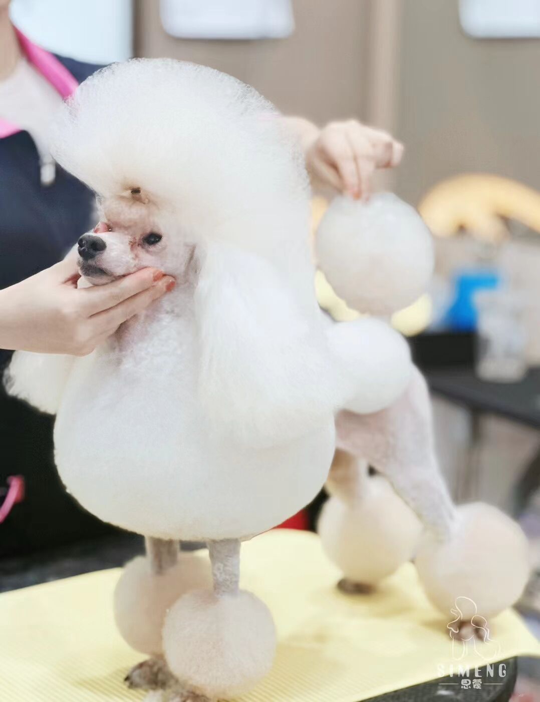 優(yōu)秀作品