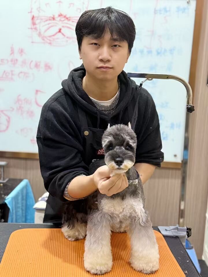 優(yōu)秀作品