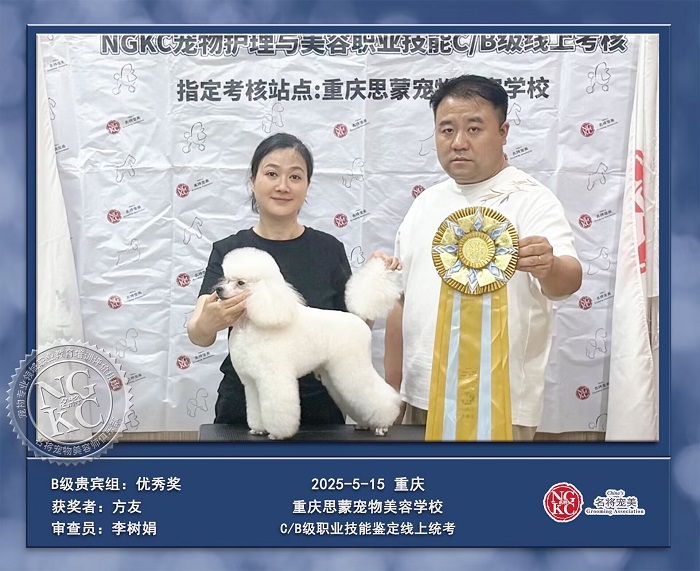 我們的榮譽(yù)