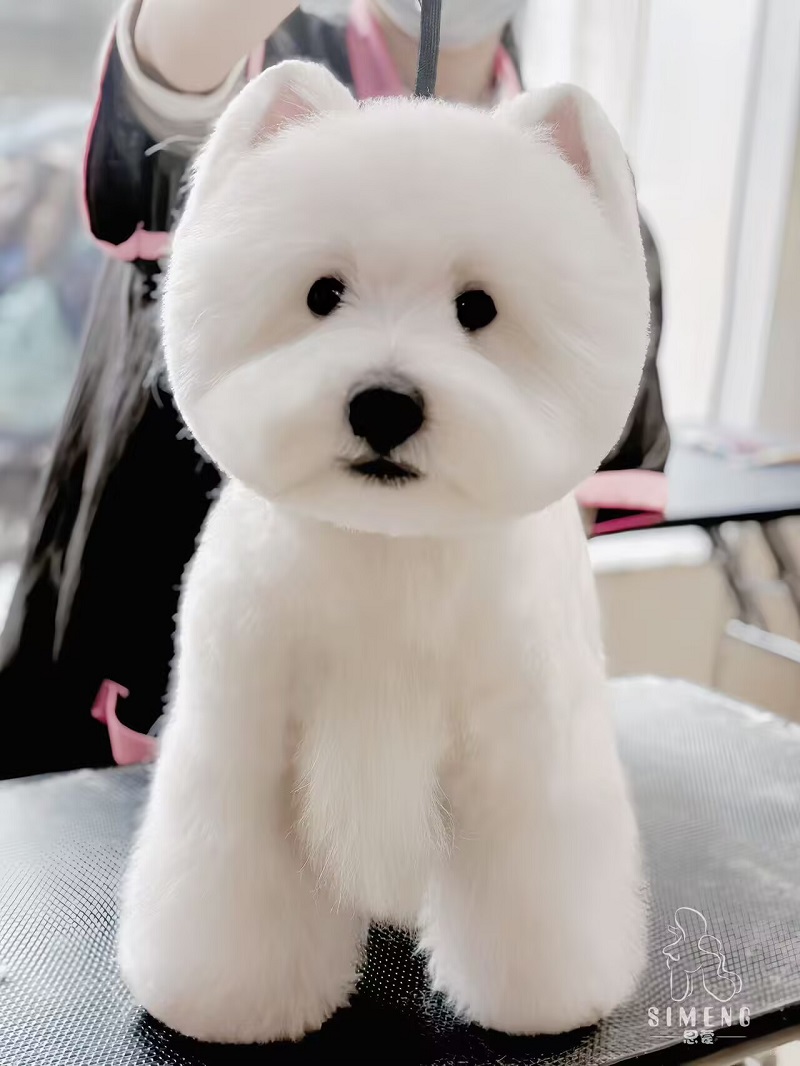 優(yōu)秀作品
