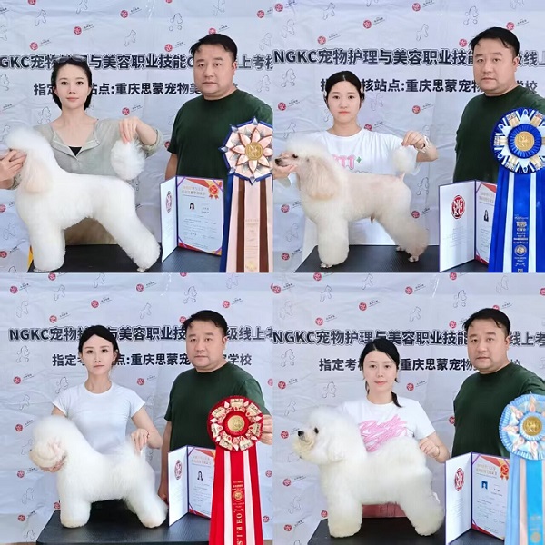 我們的榮譽(yù)