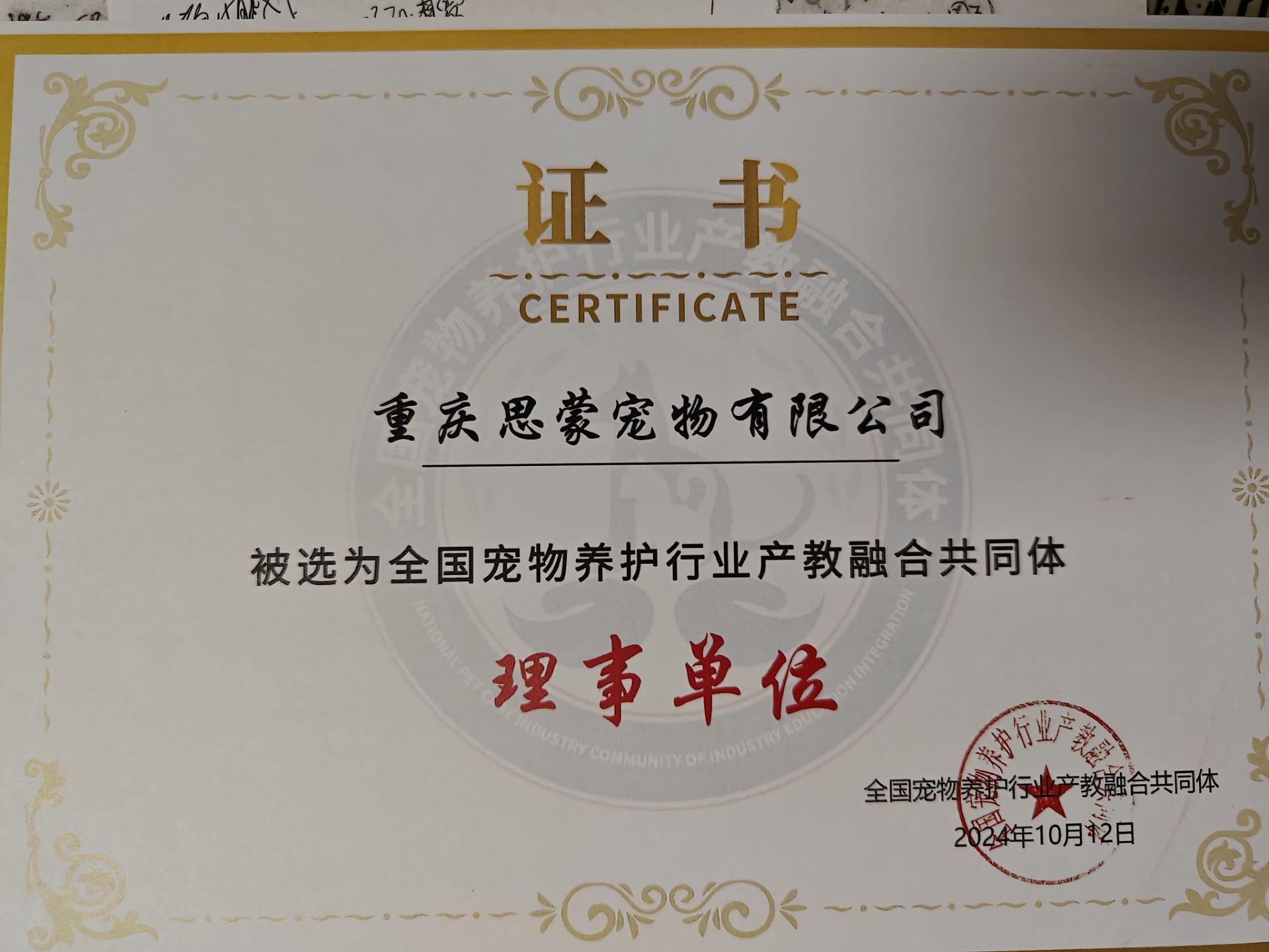 我們的榮譽(yù)