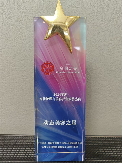 我們的榮譽(yù)