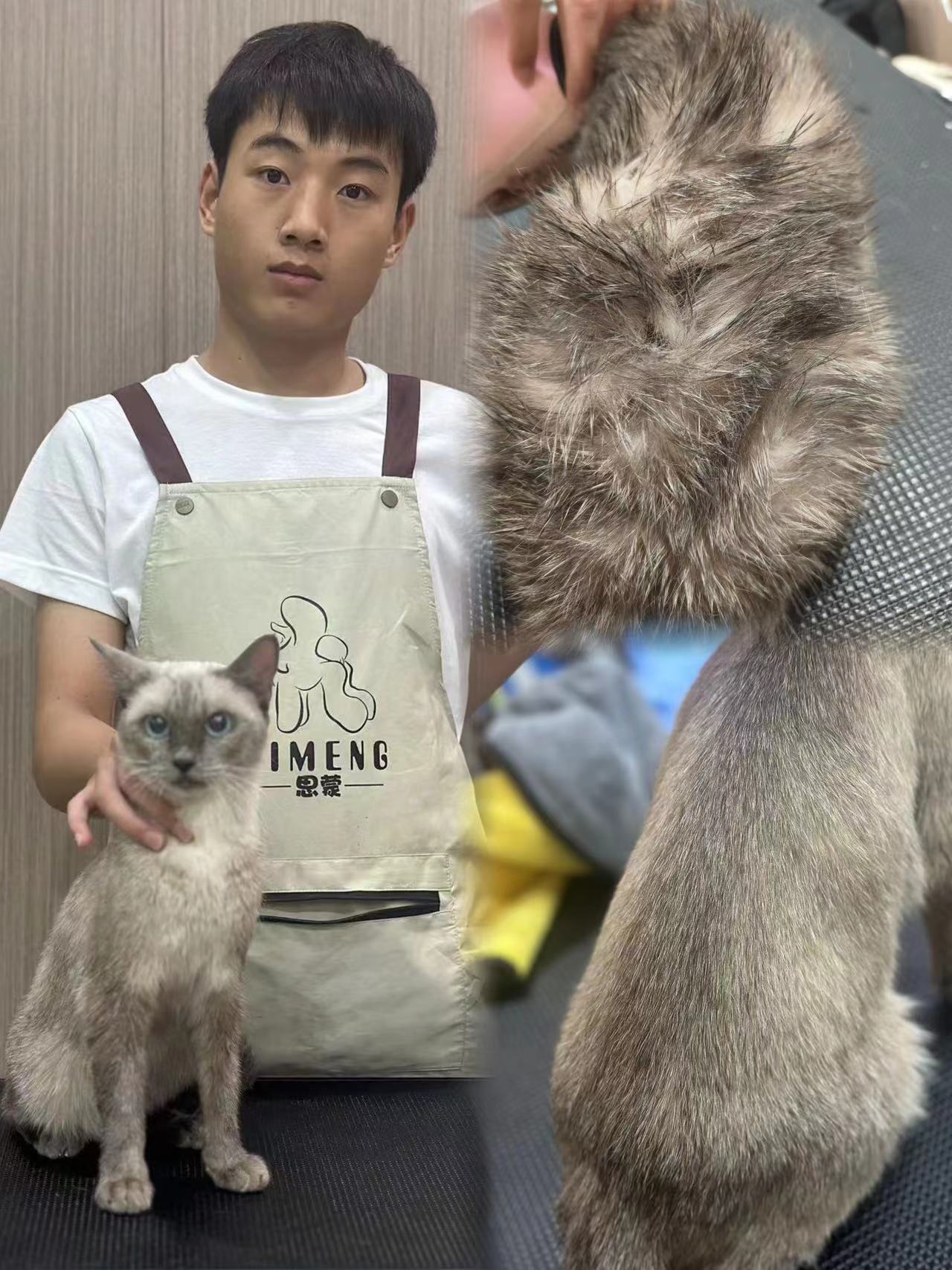 優(yōu)秀作品