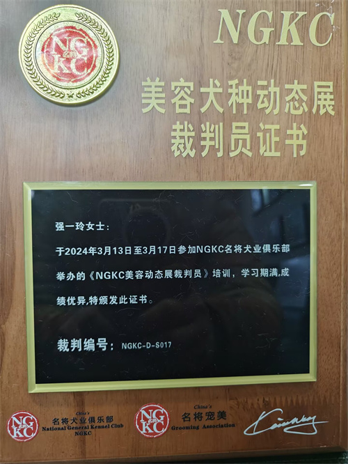 我們的榮譽(yù)
