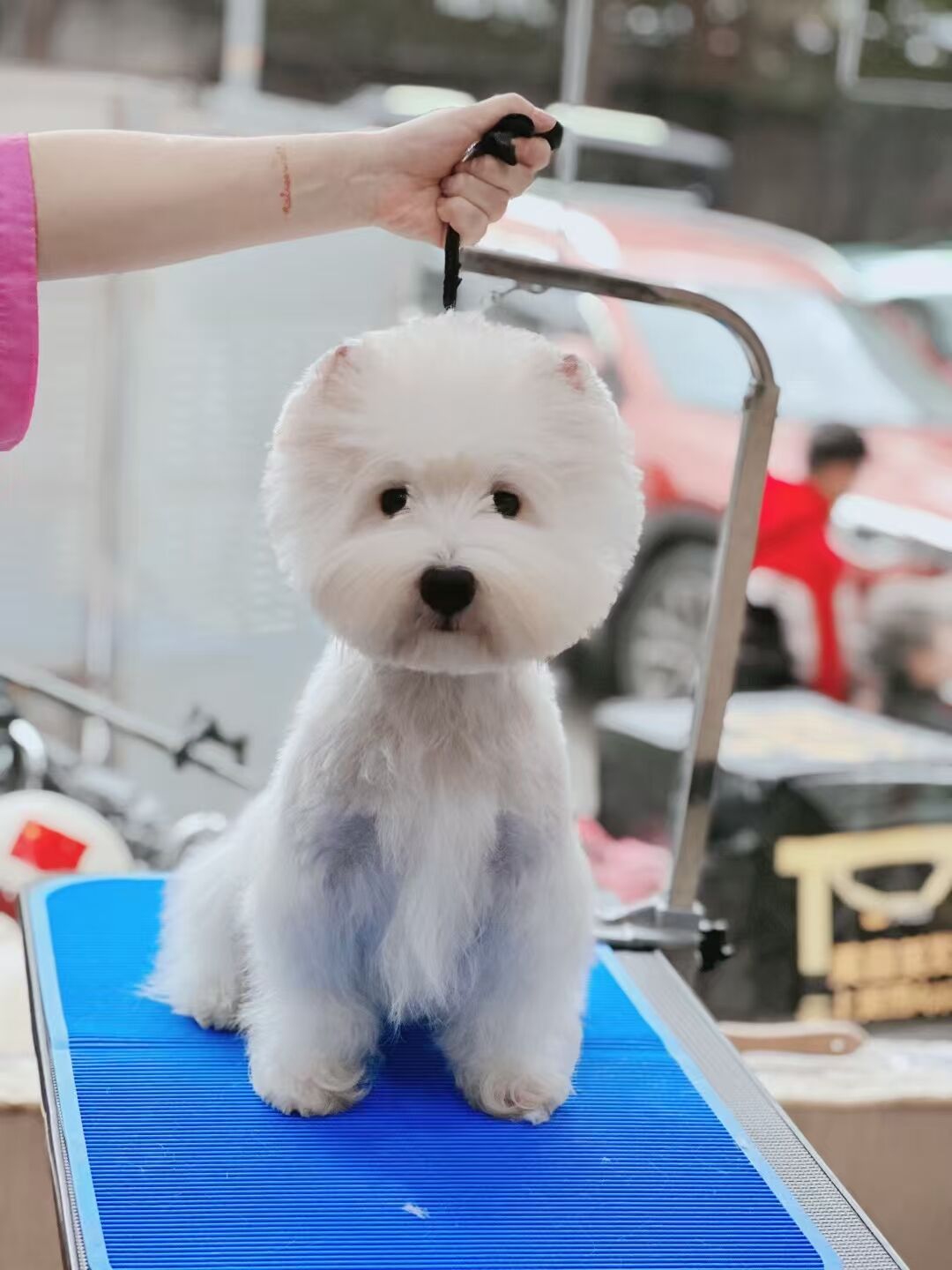 我的榮譽