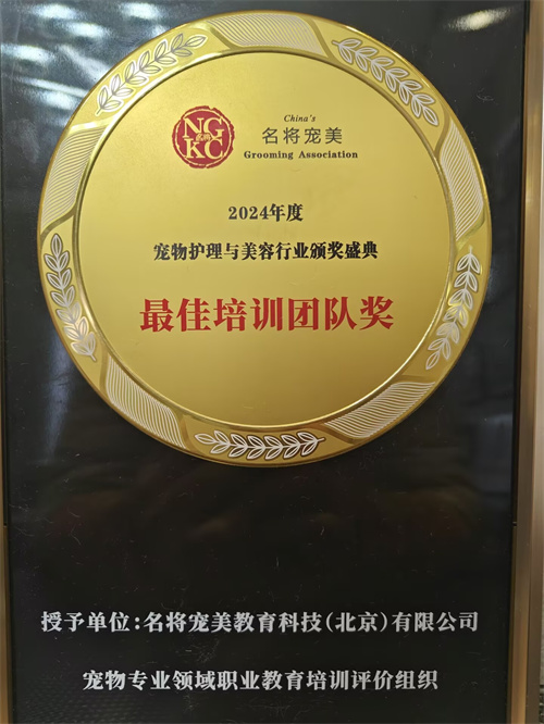 我們的榮譽(yù)