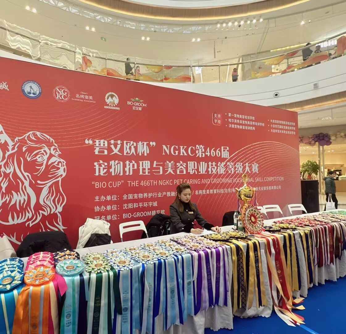 我們的榮譽(yù)