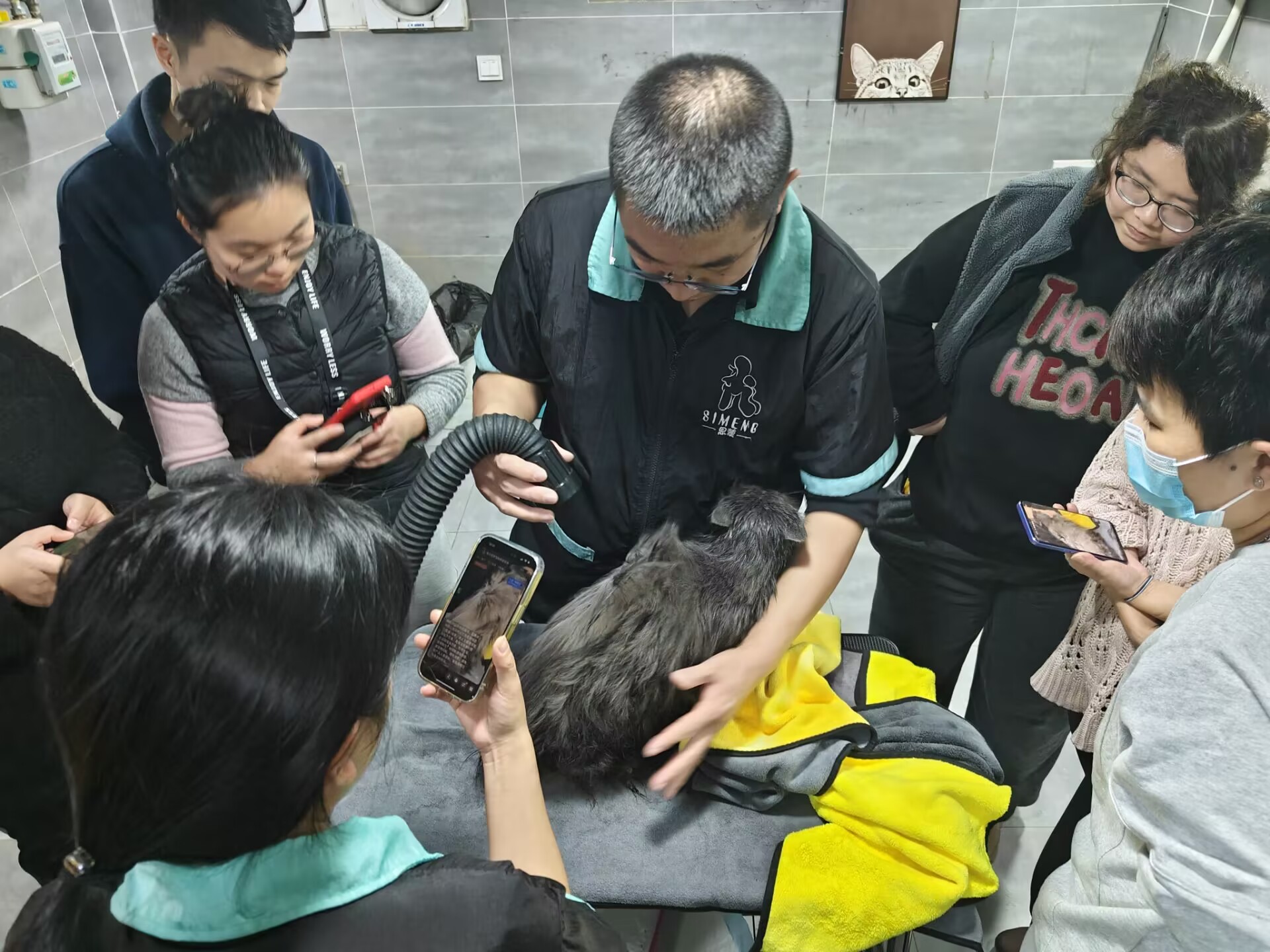 公開課：特邀貓洗護(hù)大師宮建永