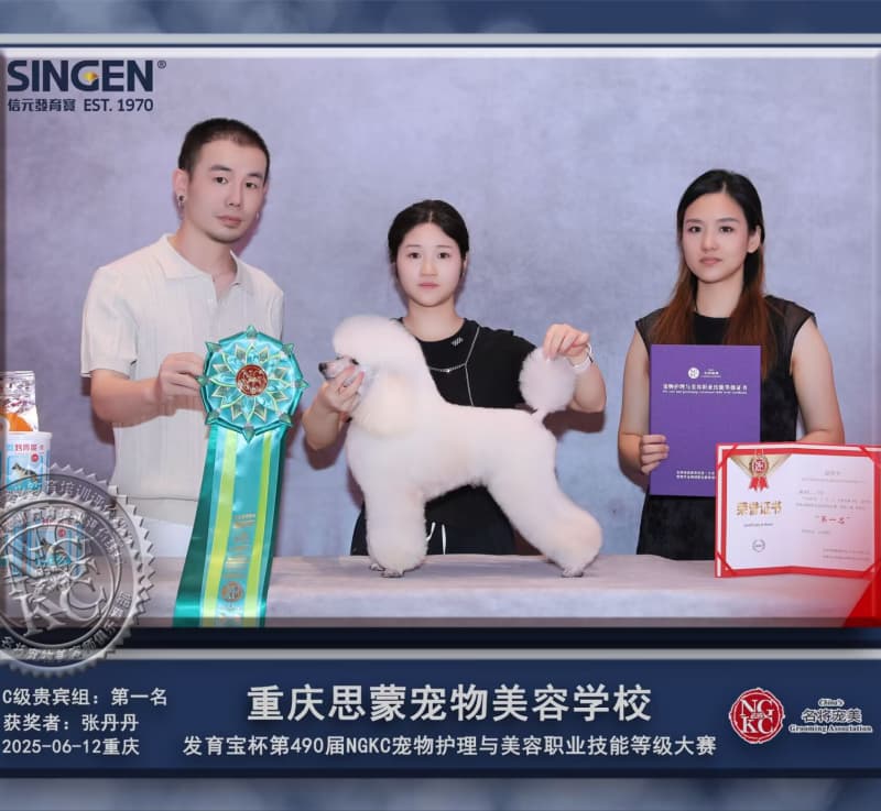 我們的榮譽(yù)