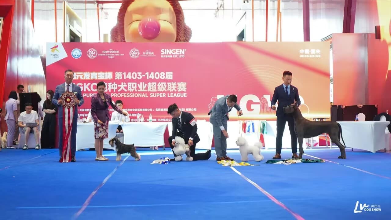 我們的榮譽(yù)