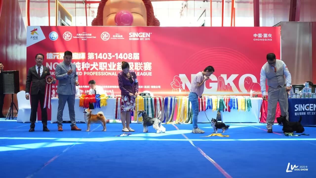我們的榮譽(yù)
