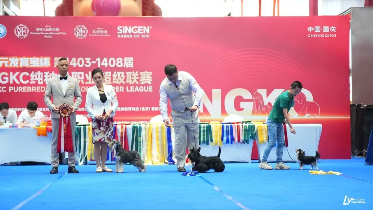 我們的榮譽(yù)