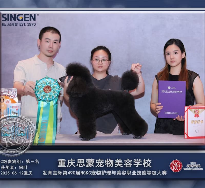 我們的榮譽(yù)