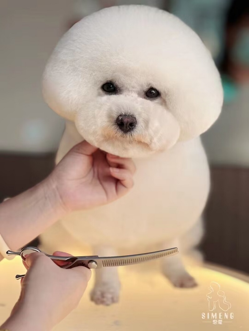 優(yōu)秀作品