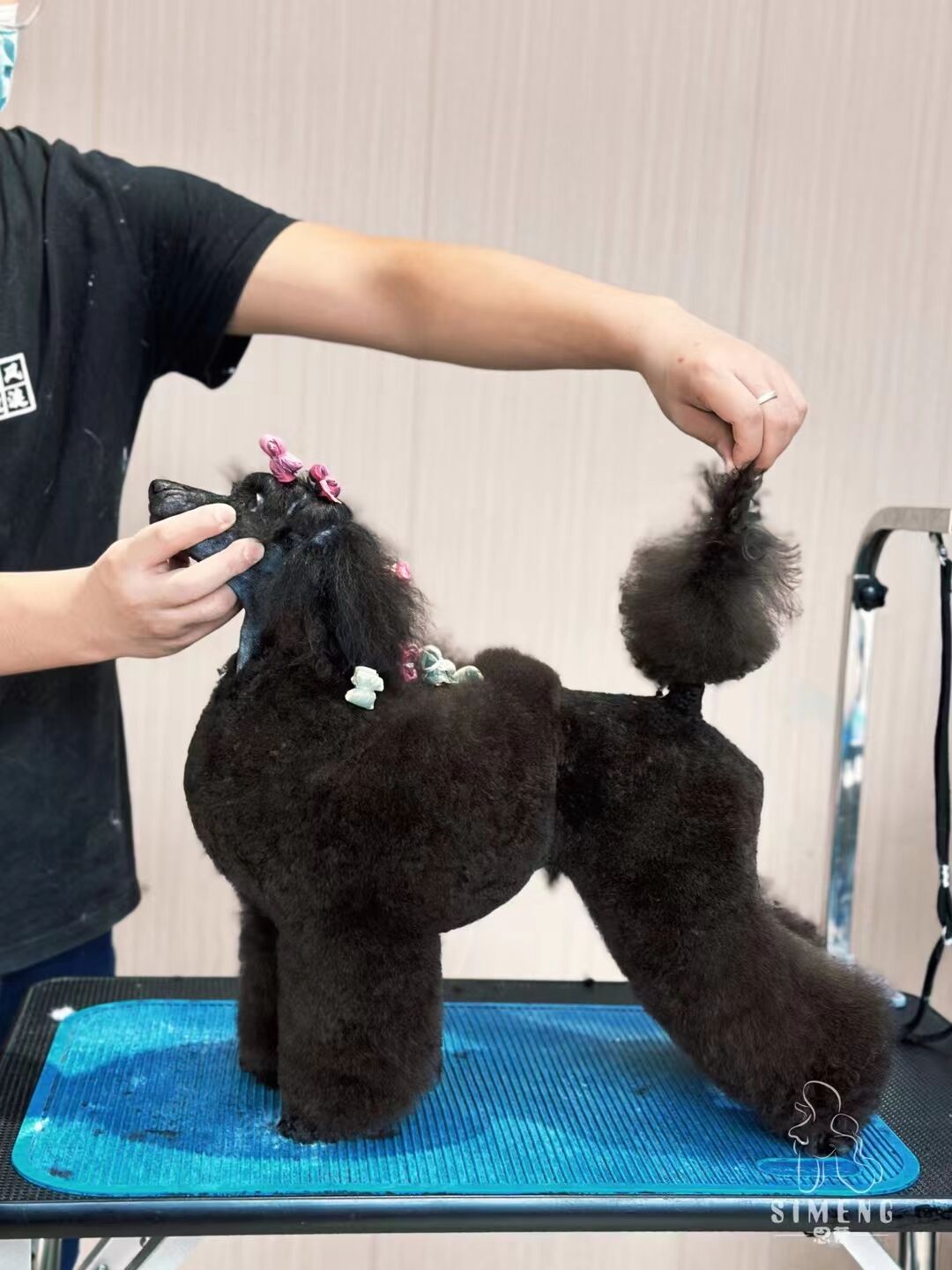 優(yōu)秀作品