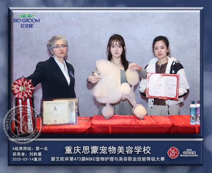 我們的榮譽