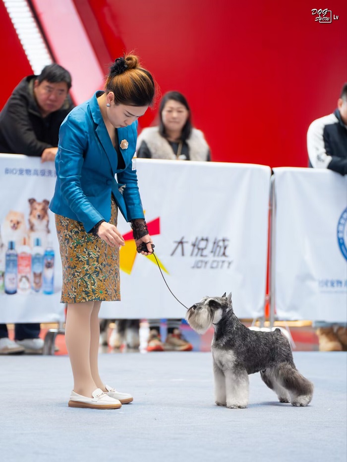 我們的榮譽