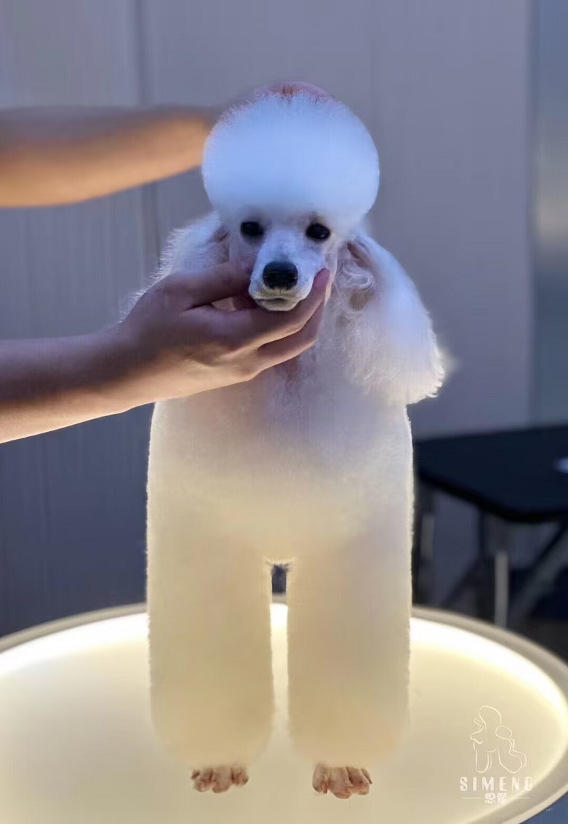 優(yōu)秀作品