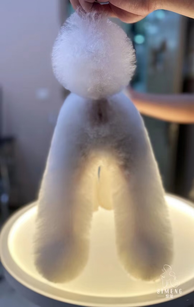 優(yōu)秀作品