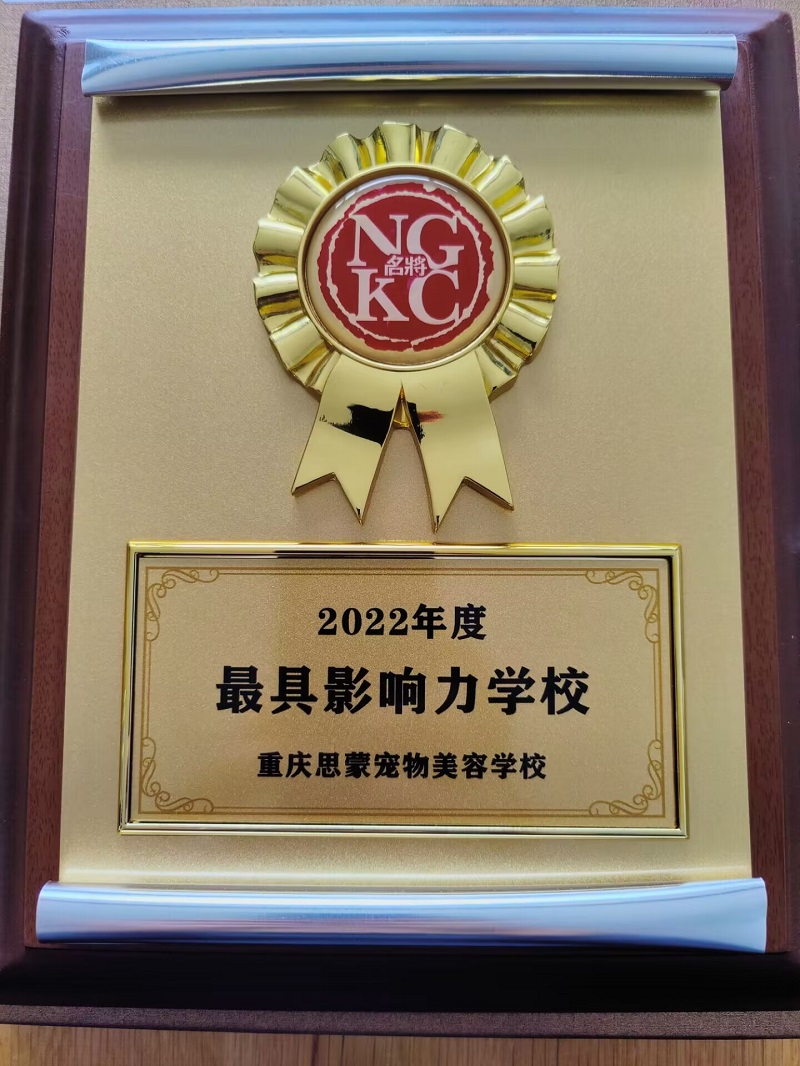 我們的榮譽(yù)