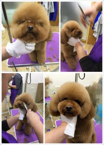 學習生活