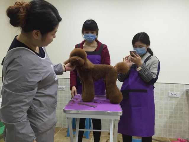 學習生活