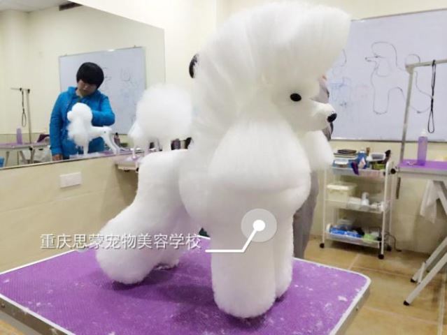 學習生活