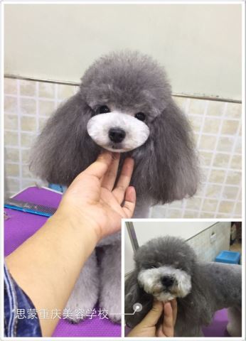 學習生活