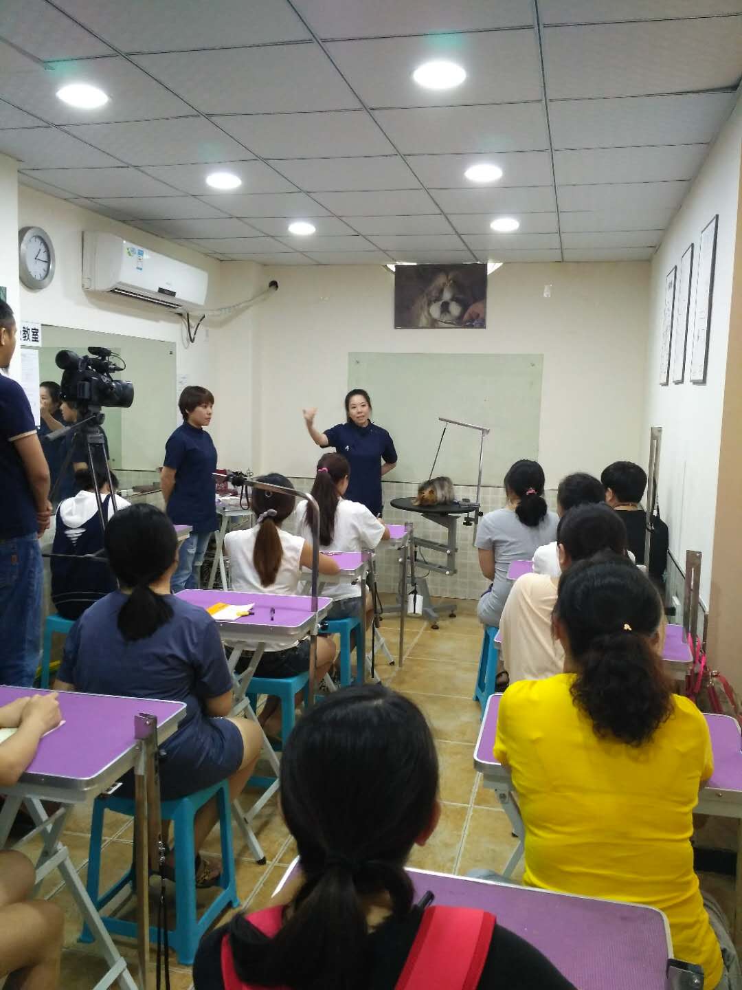 學(xué)習(xí)生活