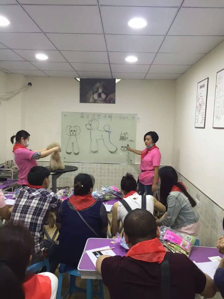 學(xué)習(xí)生活