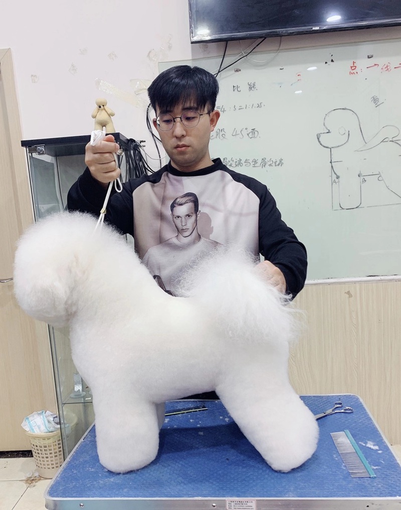 學(xué)習(xí)生活