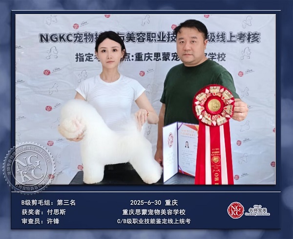 我們的榮譽(yù)
