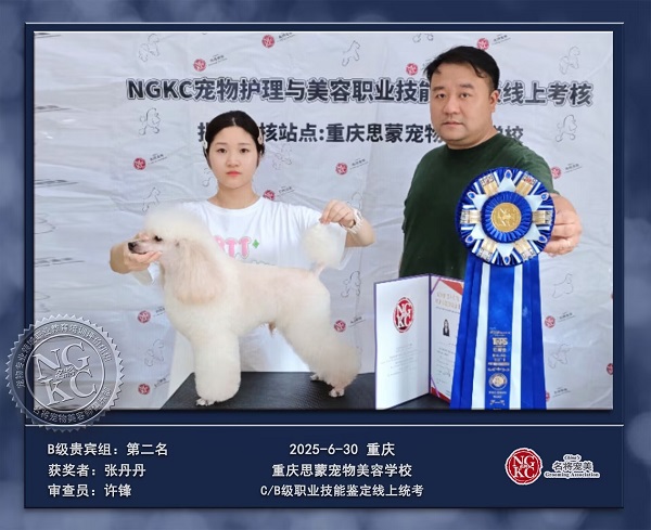 我們的榮譽(yù)