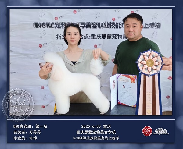我們的榮譽(yù)