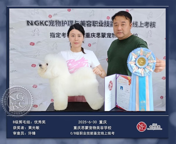 我們的榮譽(yù)