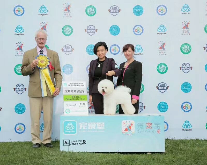 我們的榮譽(yù)