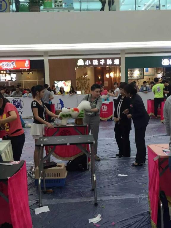 我們的榮譽(yù)