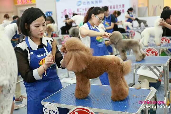 我們的榮譽(yù)