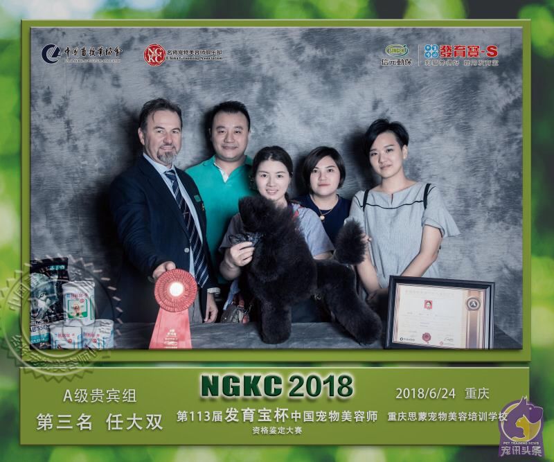 我們的榮譽