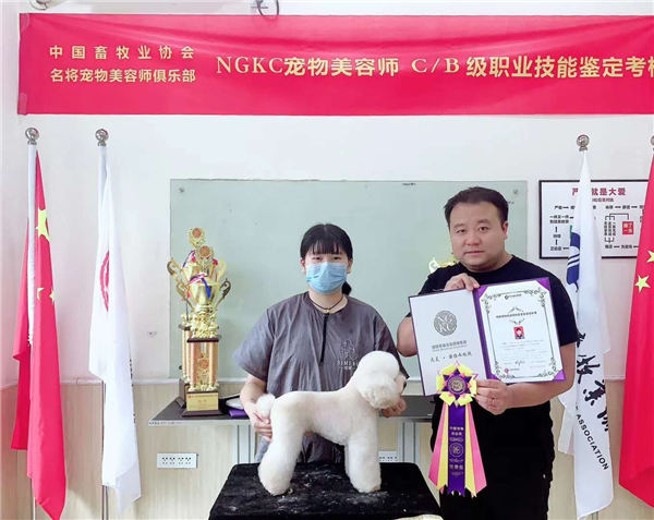 我們的榮譽(yù)