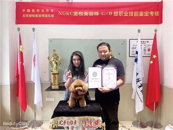 我們的榮譽(yù)