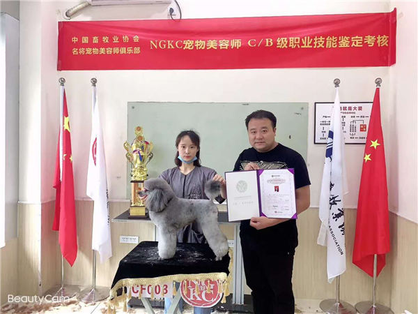 我們的榮譽(yù)