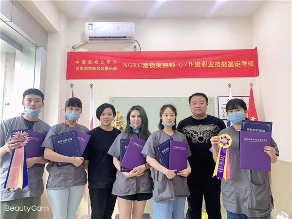 我們的榮譽(yù)