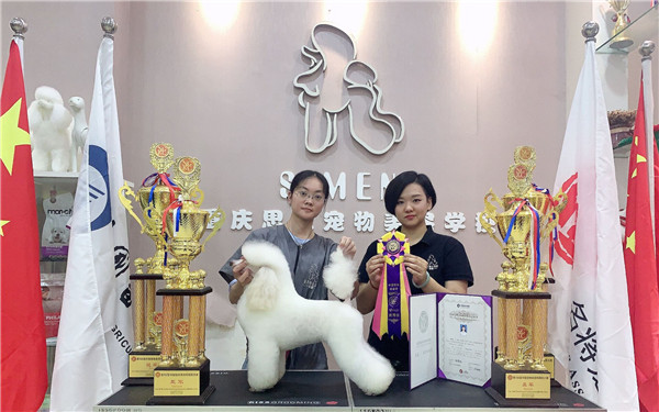 我們的榮譽(yù)