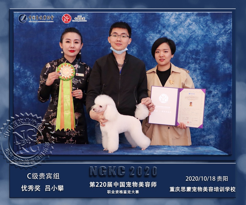 我們的榮譽(yù)