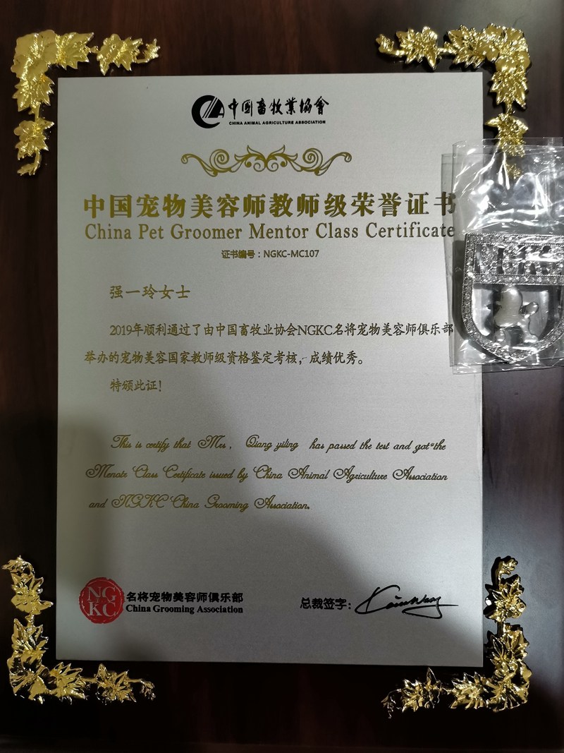 我們的榮譽(yù)