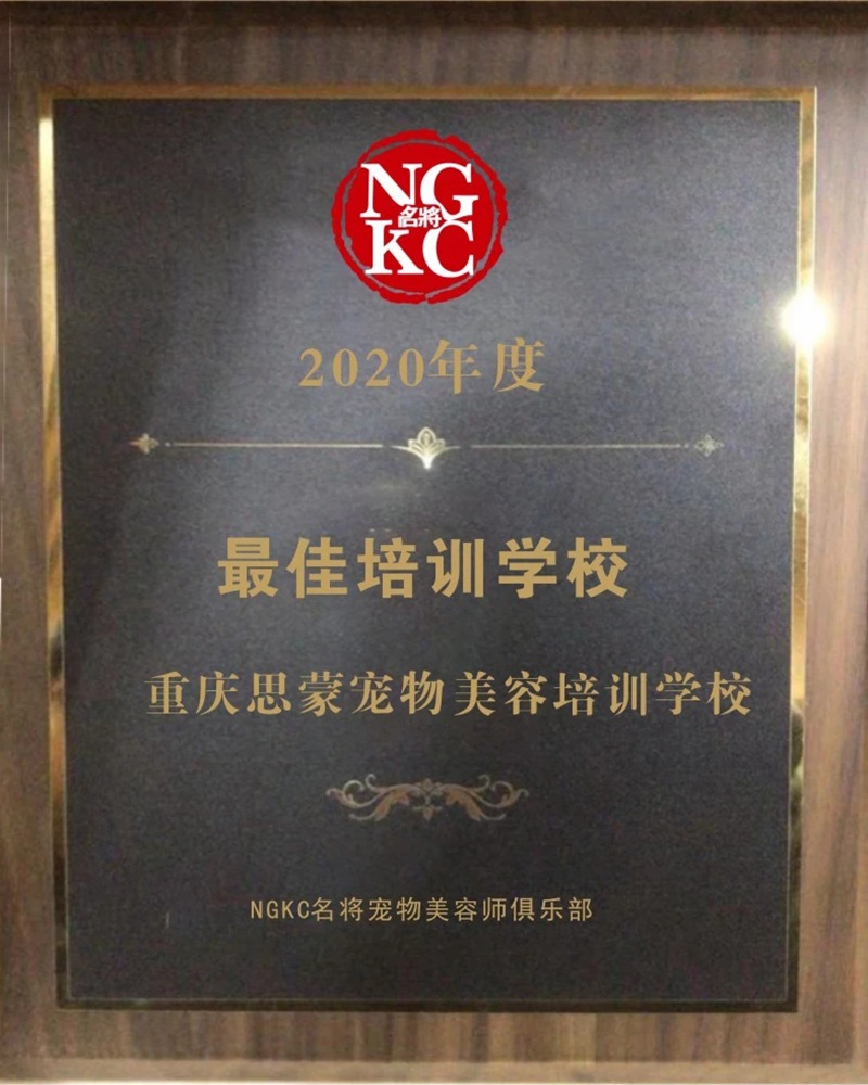 我們的榮譽(yù)